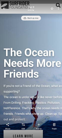 The Surfrider Foundation