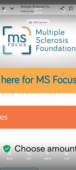Multiple Sclerosis Foundation